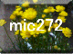 mic272
